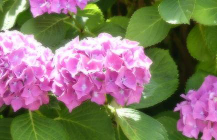 Les Notes de Granit - longère en pierre - Foto 31