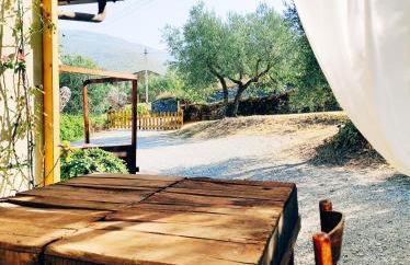 La Casa Tra Gli Ulivi - Foto 34