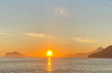 Natalie Calpe Sun 100m to the Beach center - Photo 40