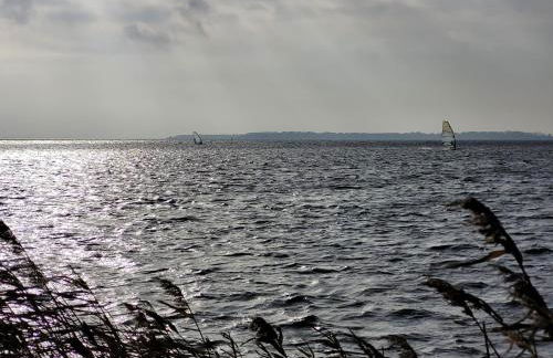 Sonneninsel & Ankerplatz Wiek mit eigener Sauna - Foto 29