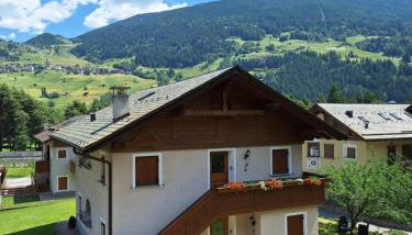 Baitin Flox - Photo 5, Garden