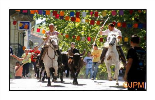 La Parenthèse - Foto 14