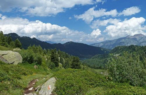 Residence Solaria Albarè Marilleva 1400 - Foto 19