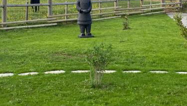 Domaine Nature Vacances - Foto 2, Garden view