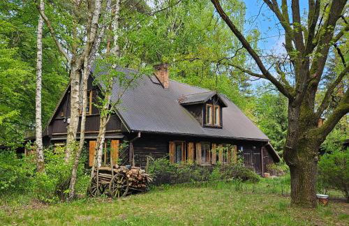 Dom z linią brzegową Narwi - Photo 29