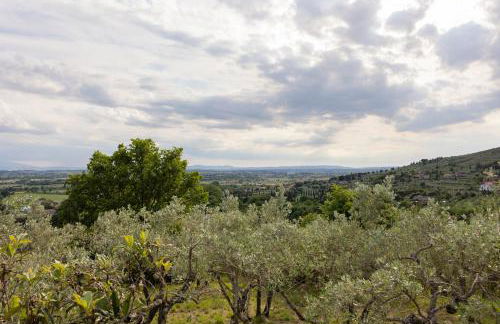 Casetta del Glicine - Foto 57