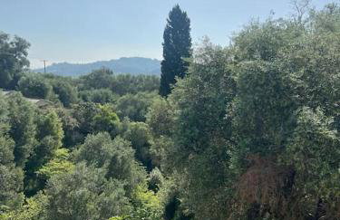 BugenVilla - South Corfu house - Foto 61