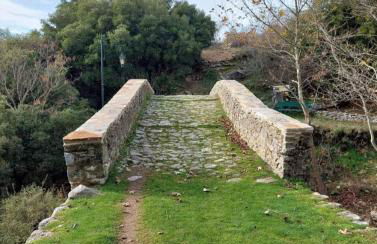 Panthea Residence - Photo 37