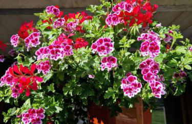 Gîte La Scierie, Maison Familiale, Laguiole - Photo 51