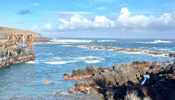 Casa Vacacional Bevi - Tenerife Norte - Foto 5