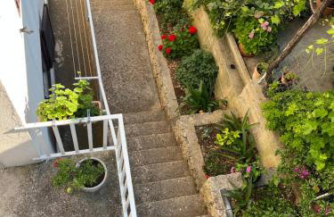 Apartments Despotović - Photo 9