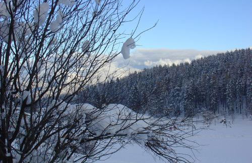 Casa Solaris - Foto 41