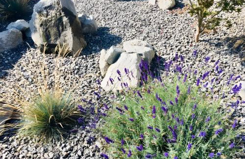 Ferienwohnen im Ziegelfeld - Foto 8