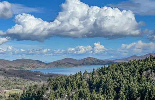 Alonia Forest House - Photo 6