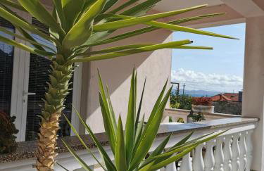 Apartman Borka - Foto 25