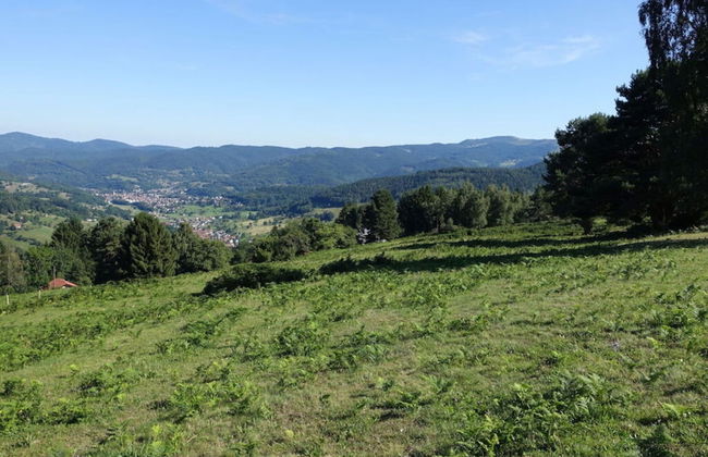 Modern Apartment in Soultzeren - Photo 13