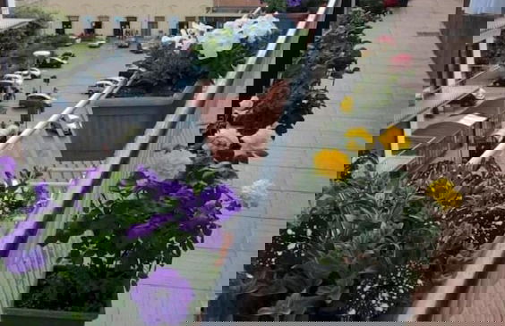 Cameracaffè Centro - Foto 33