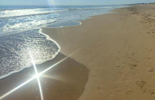 House with solarium - Foto 30