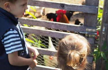 Wunderschöne 3-Zimmerwohnung auf dem Bauernhof - Foto 33