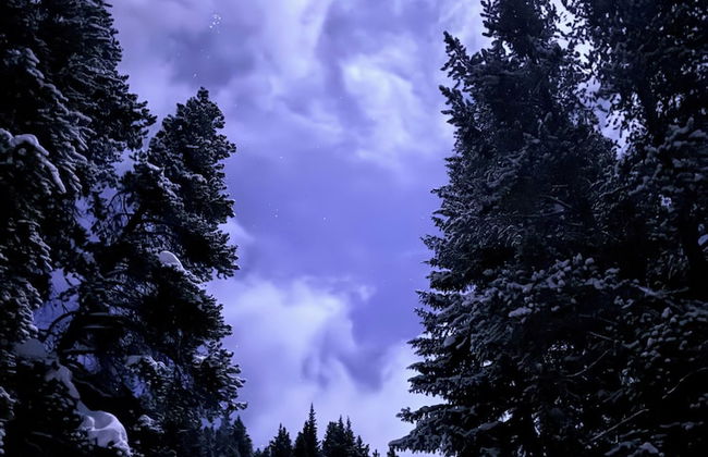 Lichen Huts - Foto 4