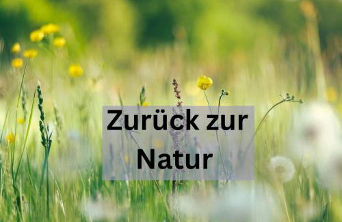 Kleine einzigartige Ferienwohnung auf dem Bauernhof, direkt in der Natur mit Blick auf Schloss Braunfels - Photo 39