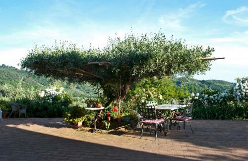 Azienda agricola Della Mezzaluna - Foto 44