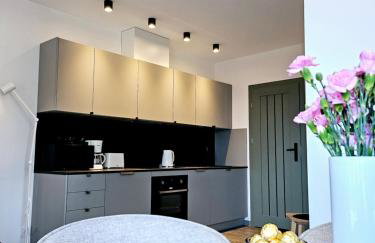 Apartamenty Chilldziówka w Miłkowie z sauną i z grillem Karpacz - Foto 7