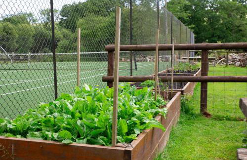 Rookery Cottage - Photo 21