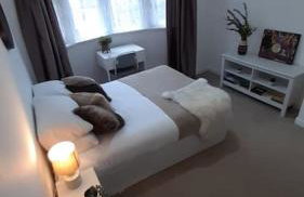 Free Parking Spacious Home - Photo 22