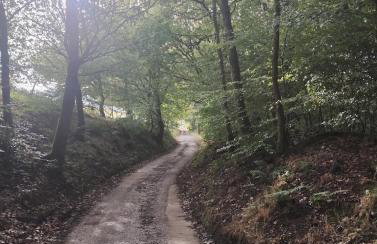 The Peak Retreat - Foto 40