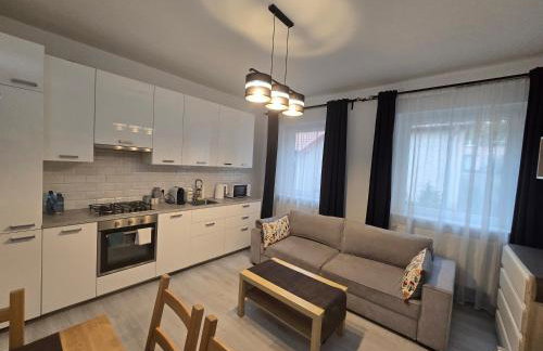 Apartament Mickiewicza - Foto 3