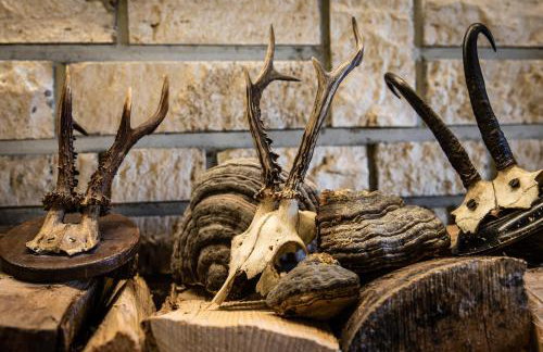 Ferienwohnungen - Alpenhotel Fischer 4 Sterne - Landhaus Inge Adults Only - Foto 21