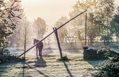 Four-Bedroom Holiday Home In Milakowo - Foto 9