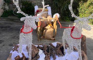 NIDO SCANSANESE - Foto 15