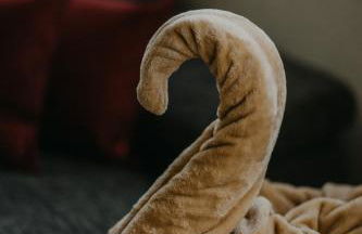 Haus Bergfrieden - Foto 65