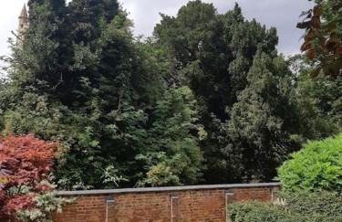 Beautiful Georgian cottage within a private walled garden - Foto 31