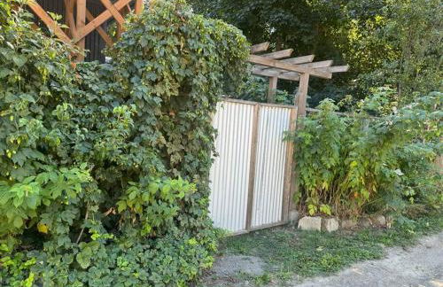 Mayor's Lake and Ski Suite - Foto 49