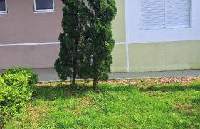 Casa em Condomínio Pelotas - Foto 3