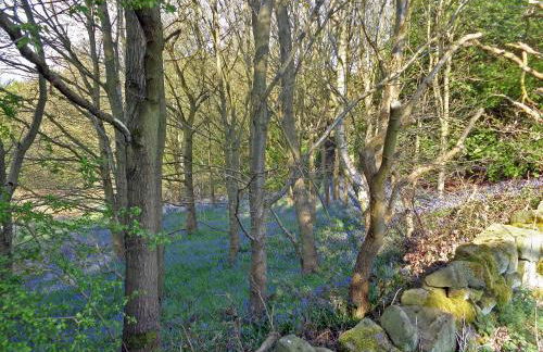 Waterfall Cottage - Foto 14