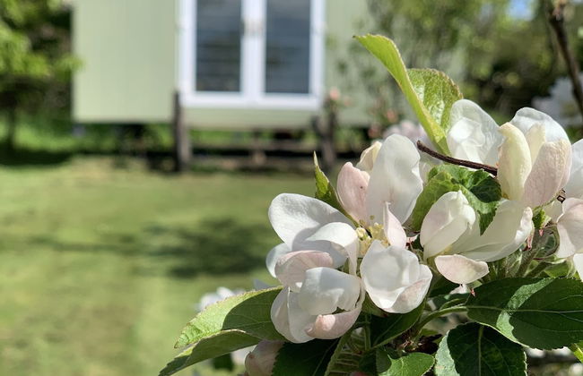 Hillcrest Hut - Foto 19