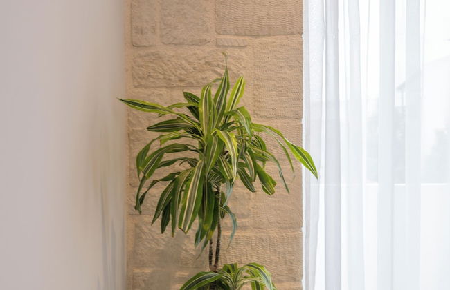 Esplanade Apartments - Foto 40