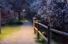 Casa Rural Emma - Foto 33