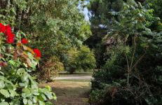 Rivière Retreat - Foto 7