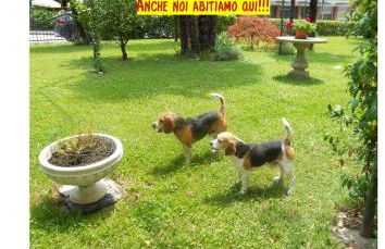 Appartamento doppi bagni sei posti letto - Foto 32