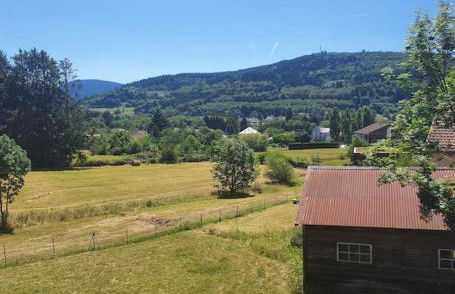 Chalet les Boudières 6 pers près Gerardmer Cosy Billard - Foto 15