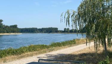 Ferienhaus Hoffmann am Rheinbogen - Foto 5
