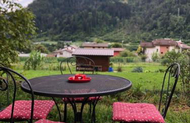 Casa Gugjet Cuore Carnico - appartamento Zoncolan - giardino - no scale - parcheggio e 4 zampe gratis - Foto 34