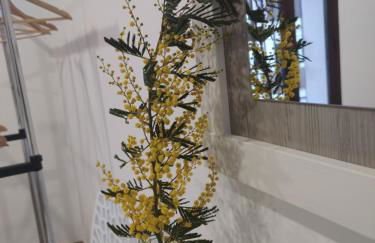 La Casa de la Mimosa - Foto 25