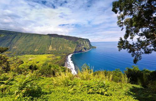 Mauna Lani Villa A-22 - Foto 44