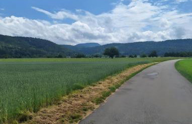 Pure Vista Hank Schwarzwaldblick - Foto 34